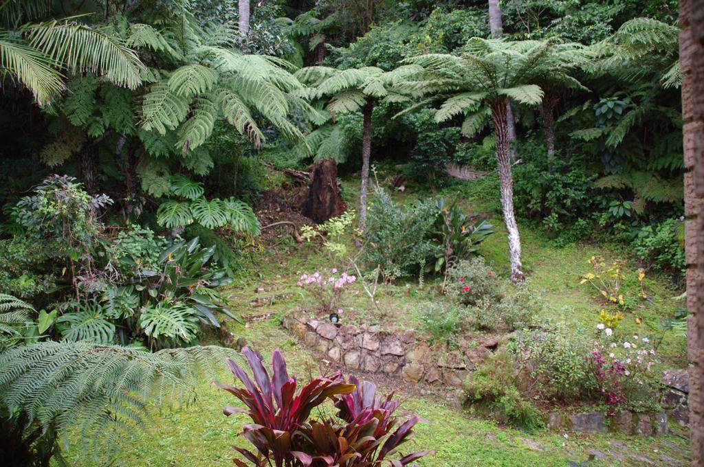 Marcel Towers Holiday Apartments Nambucca Heads Kültér fotó